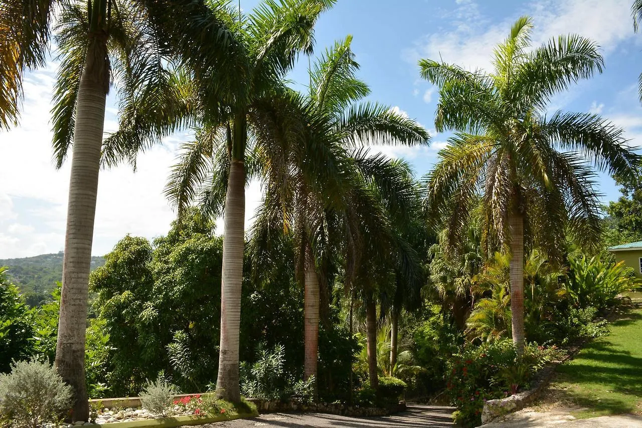 Villa Tamarind Hill à Hanover Hébergement de vacances